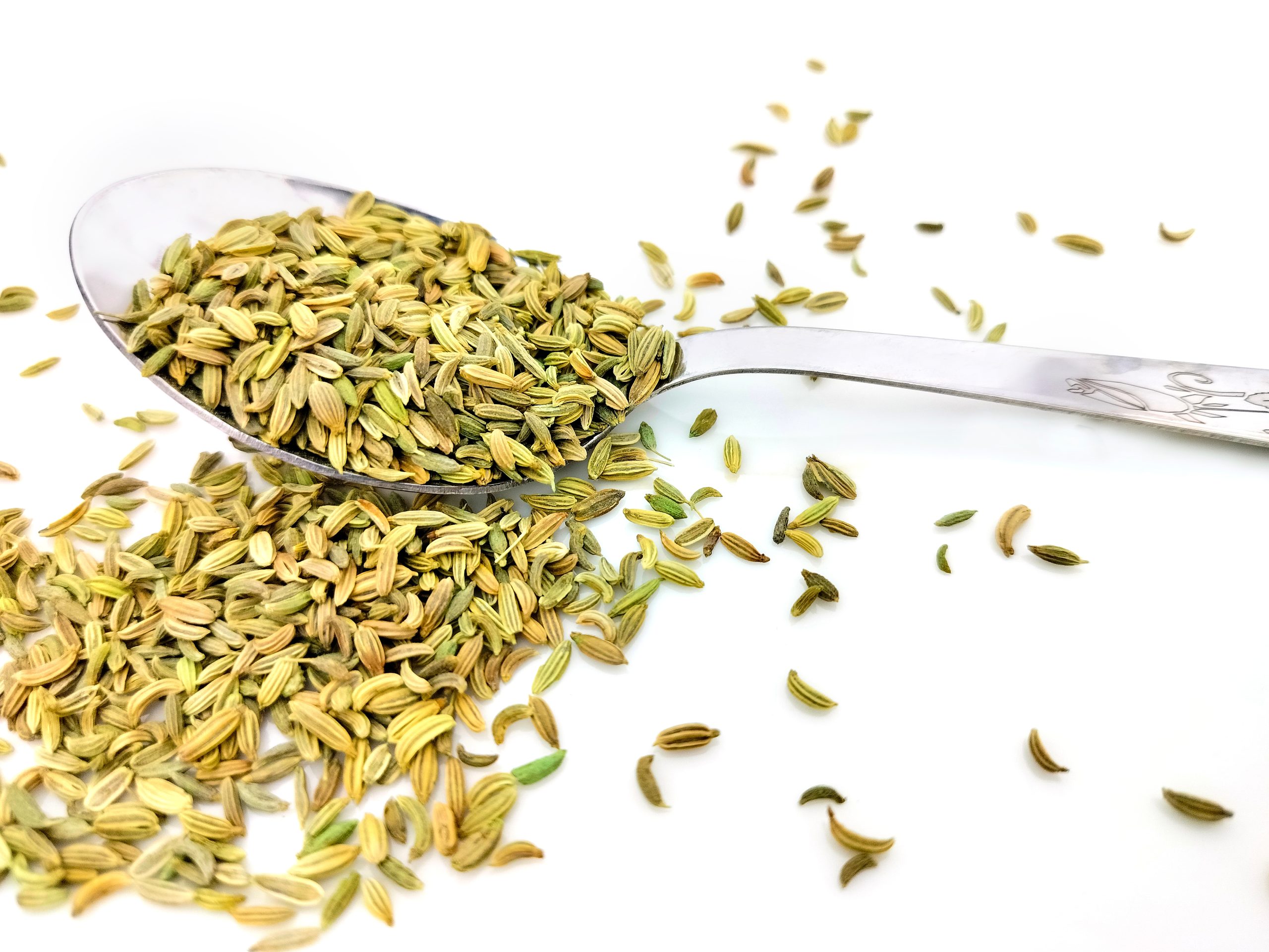 Fennel Seeds